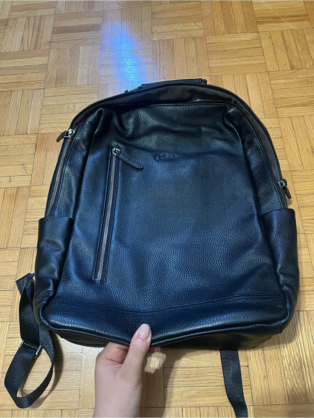 Clusi leather back pack